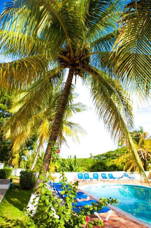 Dickenson Bay Cottages Cedar Grove Ngoại thất bức ảnh